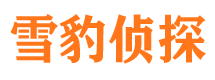 朝阳区市婚姻出轨调查